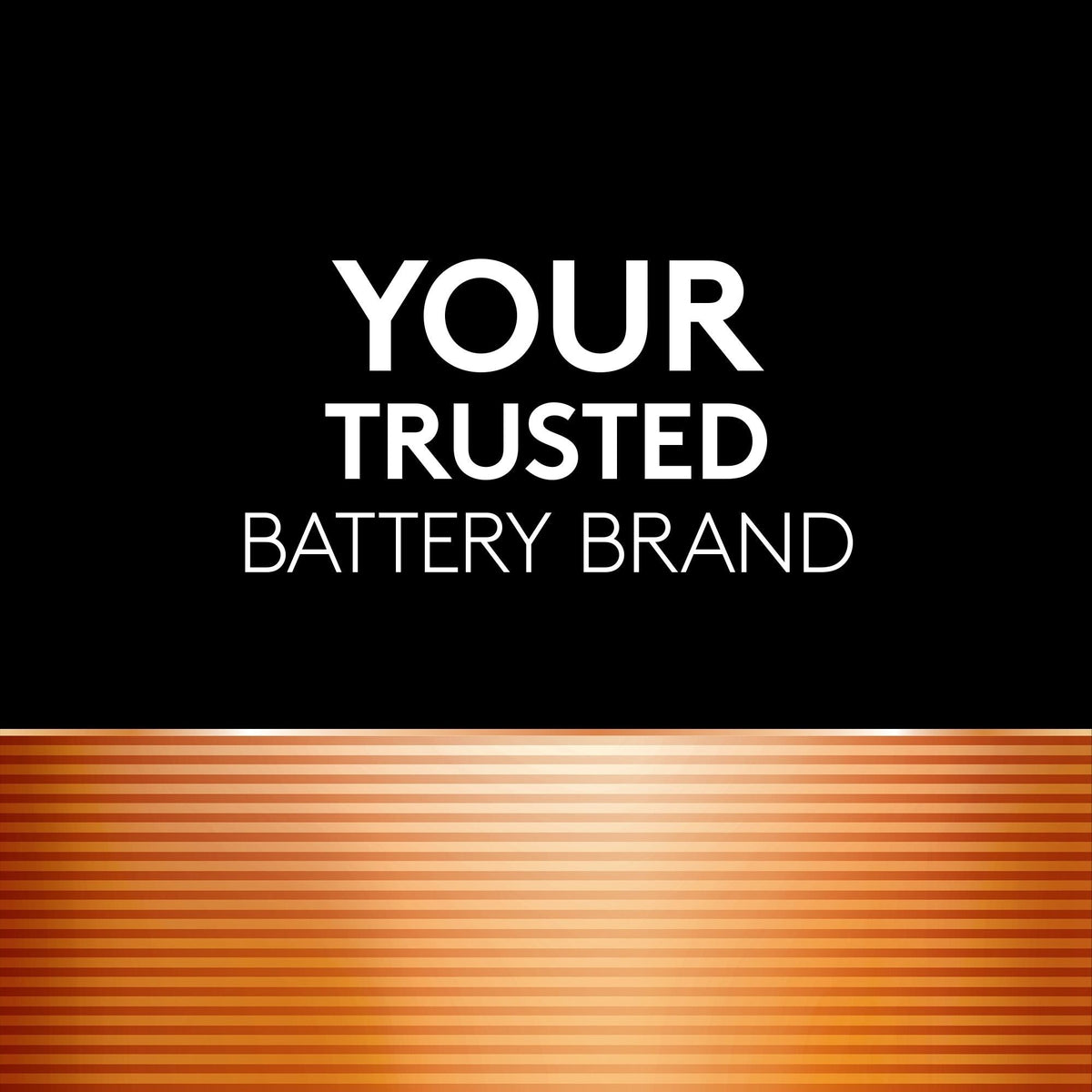 Coppertop AAA Batteries, Alkaline, 20-pk