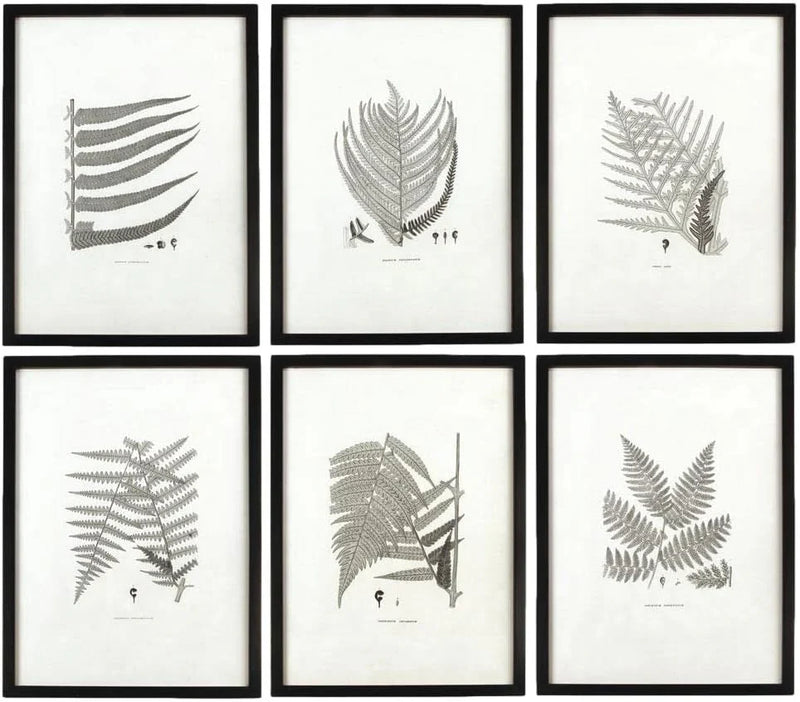 MY SWANKY HOME Modern Set of 6 Black White Fern Prints Botanical Framed Monochrome 29 in W1064