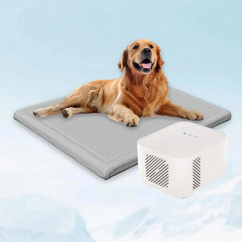 Pet Bed Cooling System, Consistent Warm and Cold Water Pad, No Electric Shock or Chemical Gel Needed, Machine Washable Bed, Ideal for Home and Crates (Cooling & Heating Green, 41" x 28") F7106