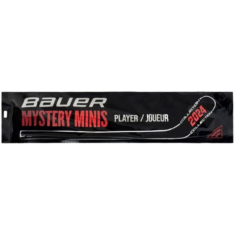 Mystery Mini Hockey Stick, Assorted Designs, 18-in J4609
