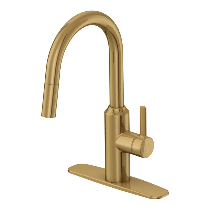 Colby Single-Handle Pull-Down Kitchen Faucet, Brushed Bronze E9492