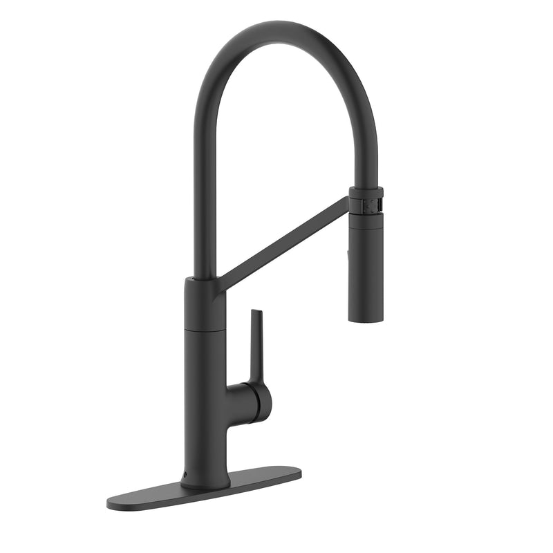 Tana 1-Handle Pull-Down Kitchen Faucet F2779