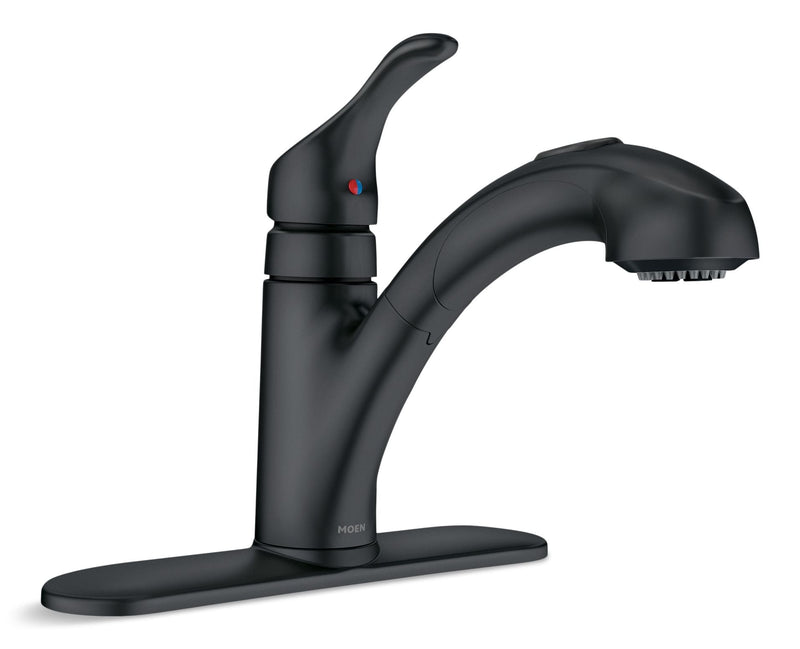 Renzo Single-Handle Pull-Out Kitchen Faucet, Matte Black D1908