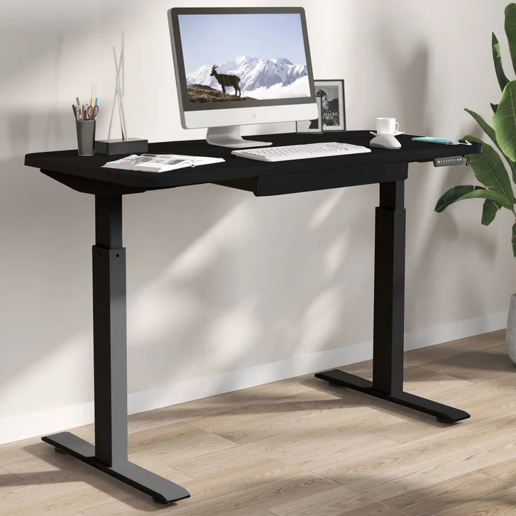 Motionwise 121.9 cm x 61 cm (48 in. x 24 in.) Height Adjustable Desk I2862