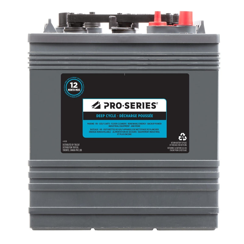 Group 901 6-Volt Deep Cycle Battery T6529