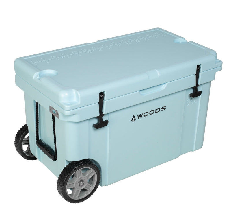 ARCTIC Wheeled Roto-Moulded Cooler with Handle, 65-L, Light Blue X6815